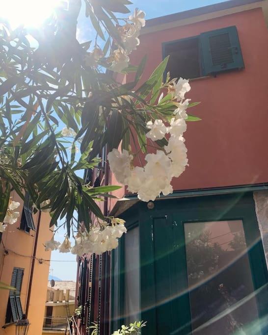 Historic Downtown Home By The Sea With King Bed Monterosso al Mare Exterior foto